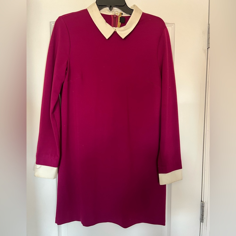 Cynthia Steffe Magenta Dress with Cream Details